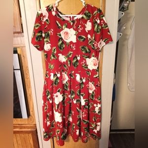 LuLaRoe dress